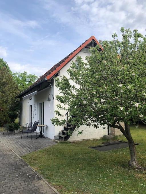 Lakeside Studio - Haus Mit Seezugang Königs Wusterhausen Exterior foto
