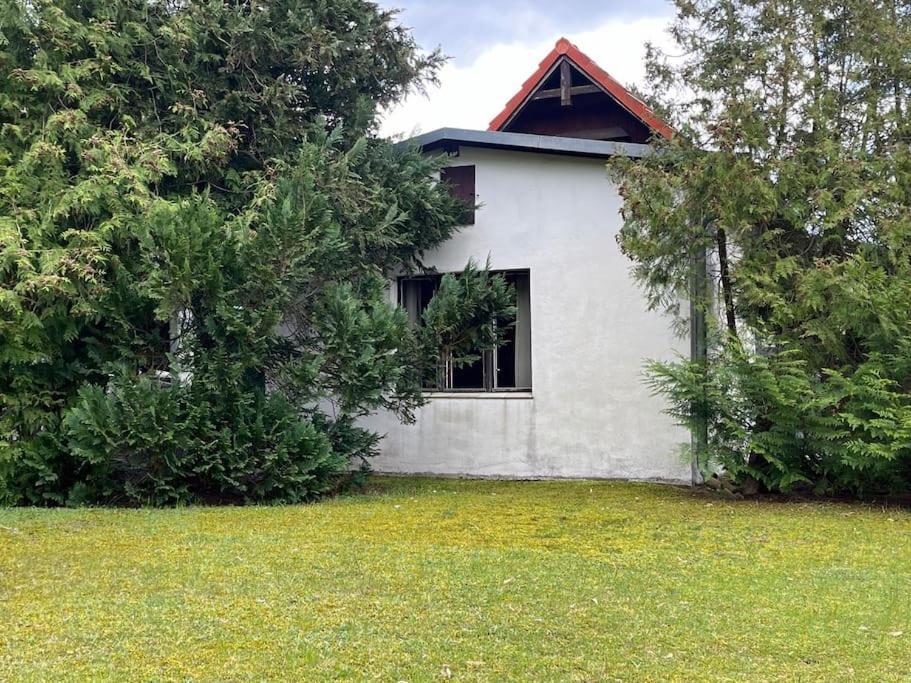 Lakeside Studio - Haus Mit Seezugang Königs Wusterhausen Exterior foto
